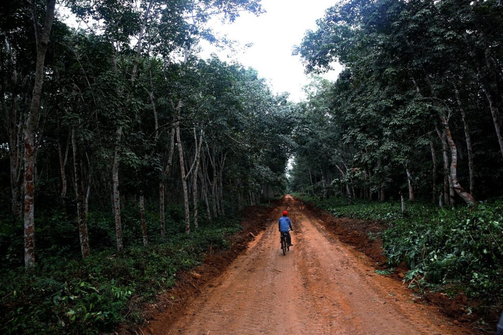 Les Routes de l'Espoir : L'ONG DRC et la Révolution des Routes Agricoles au Congo